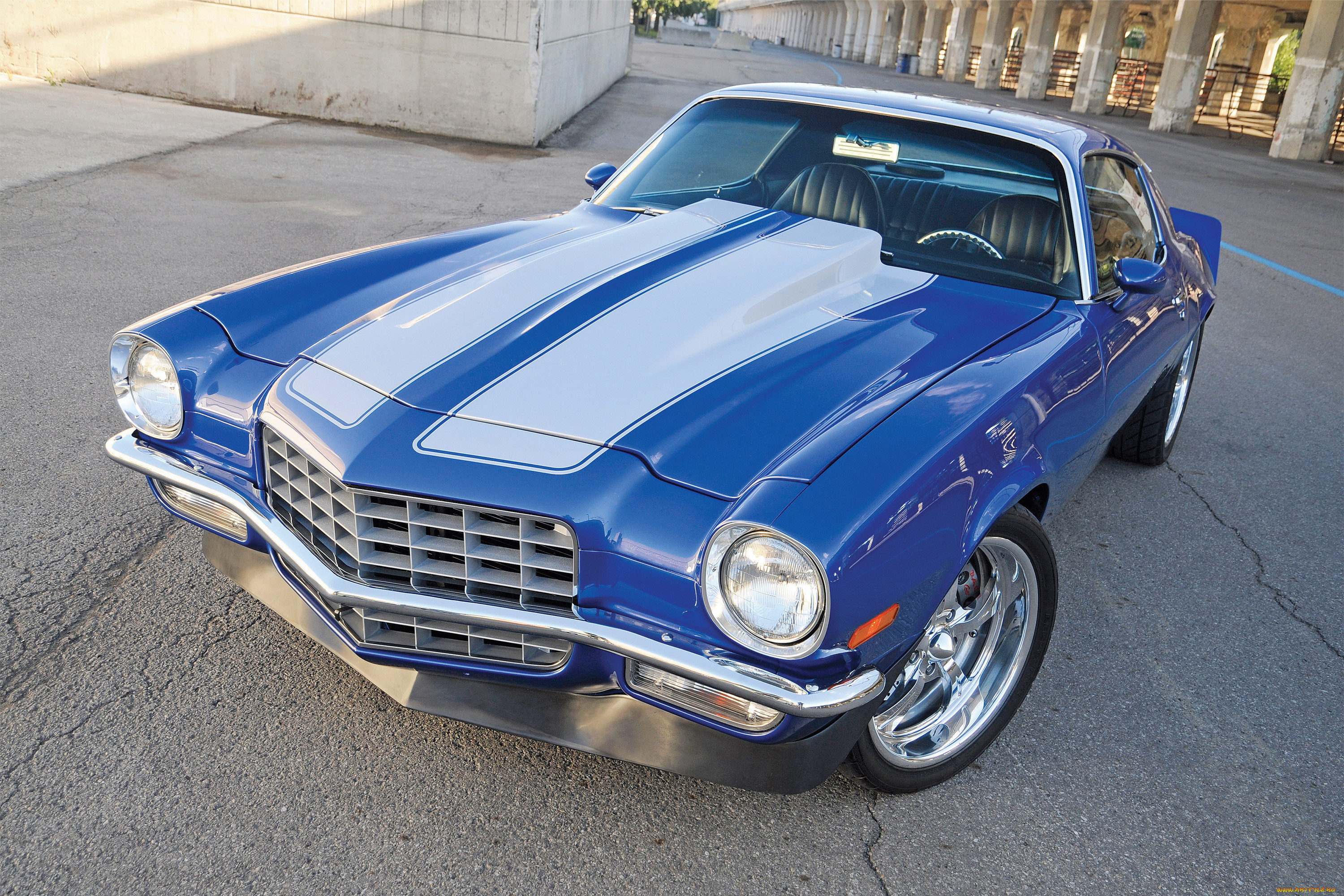 , camaro